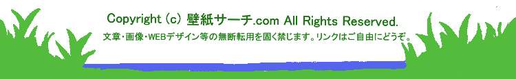 飛行機 壁紙 公式壁紙 スクリーンセーバー 無料ダウンロード